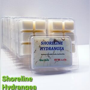 SHORELINE HYDRANGEA -Bath & Body Works Candle Wax Melts- $8 per pack